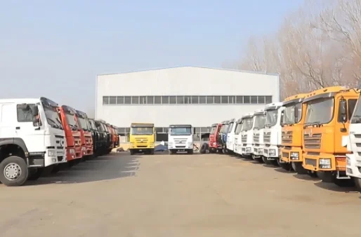 product show 