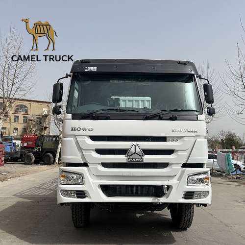 Used Howo 6x4 Cargo Truck