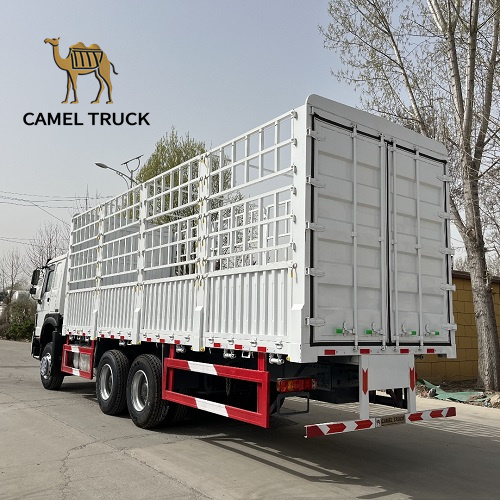 Used Howo 6x4 Cargo Truck