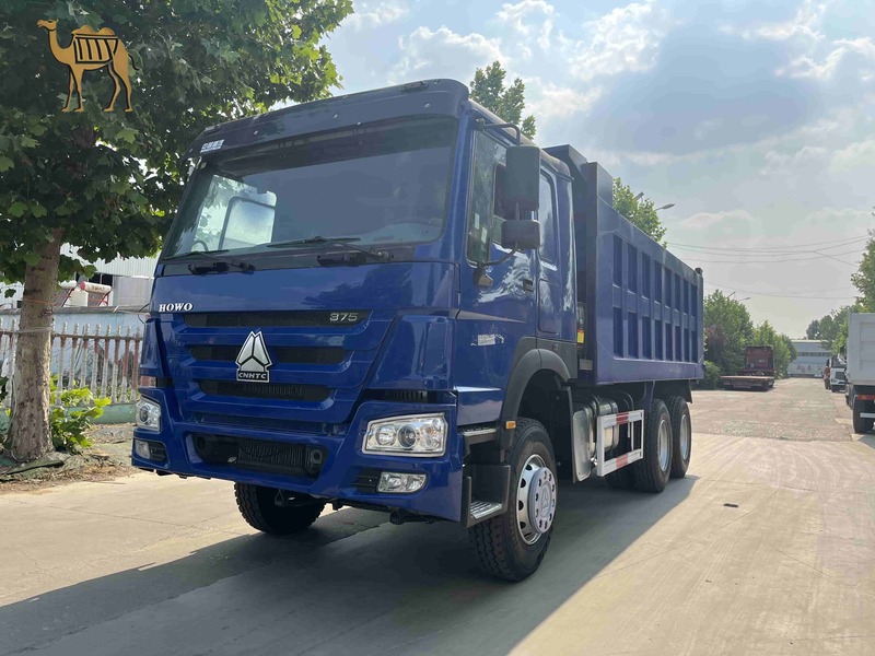 Howo 6*4 Used Dump Truck .jpg