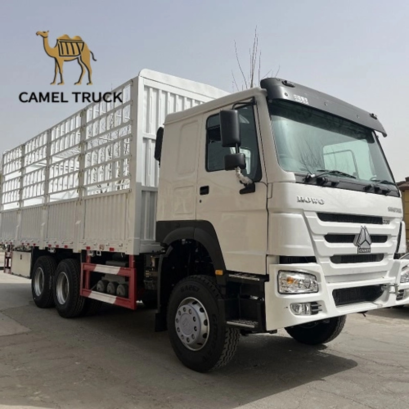 Camião de carga Howo 6×4 com chassis longo