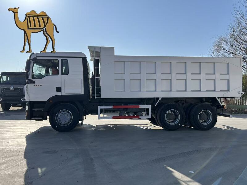 Camión volquete Howo 6×4 TX