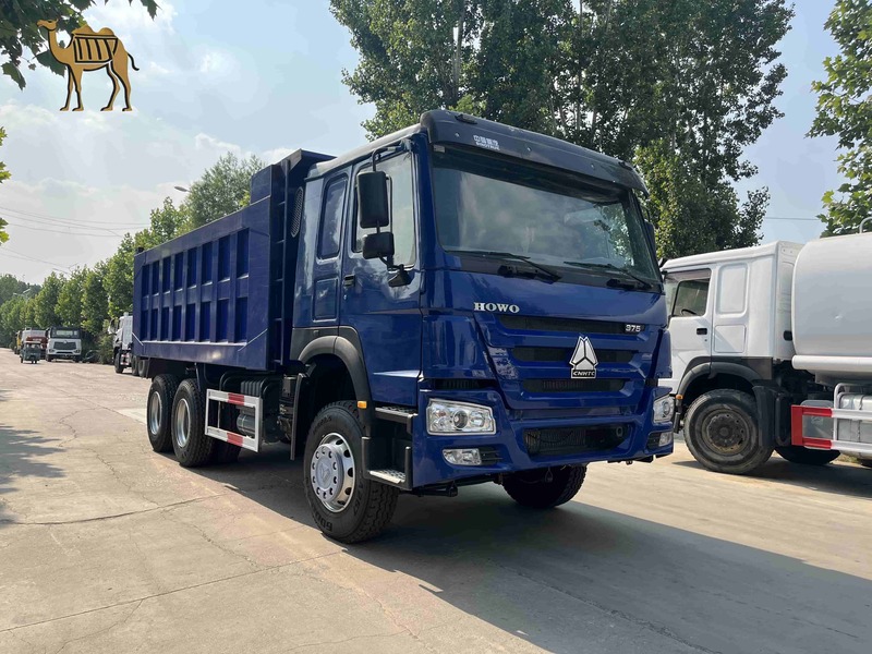 Howo 6*4 Used Dump Truck 