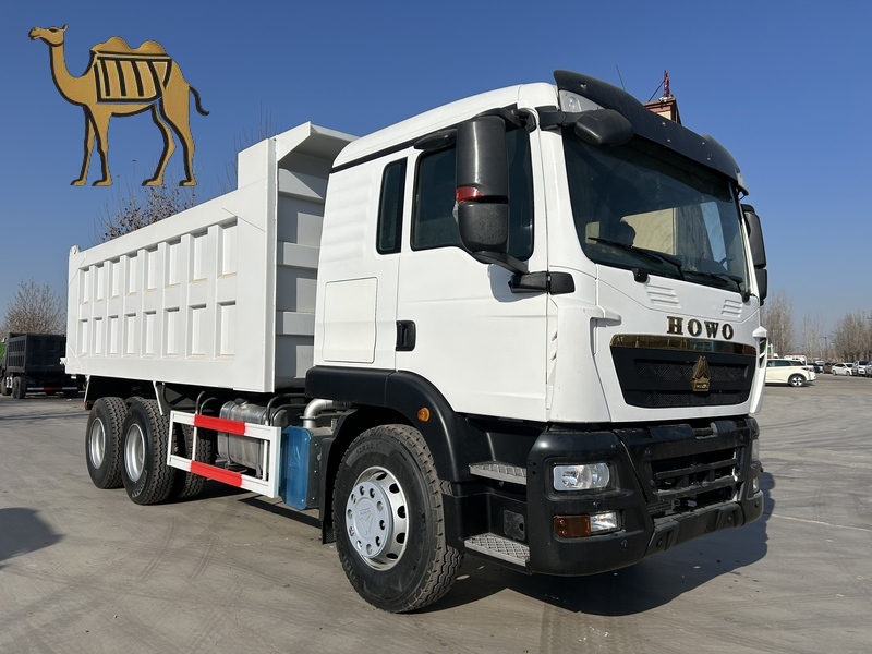 Camión volquete Howo 6×4 TX