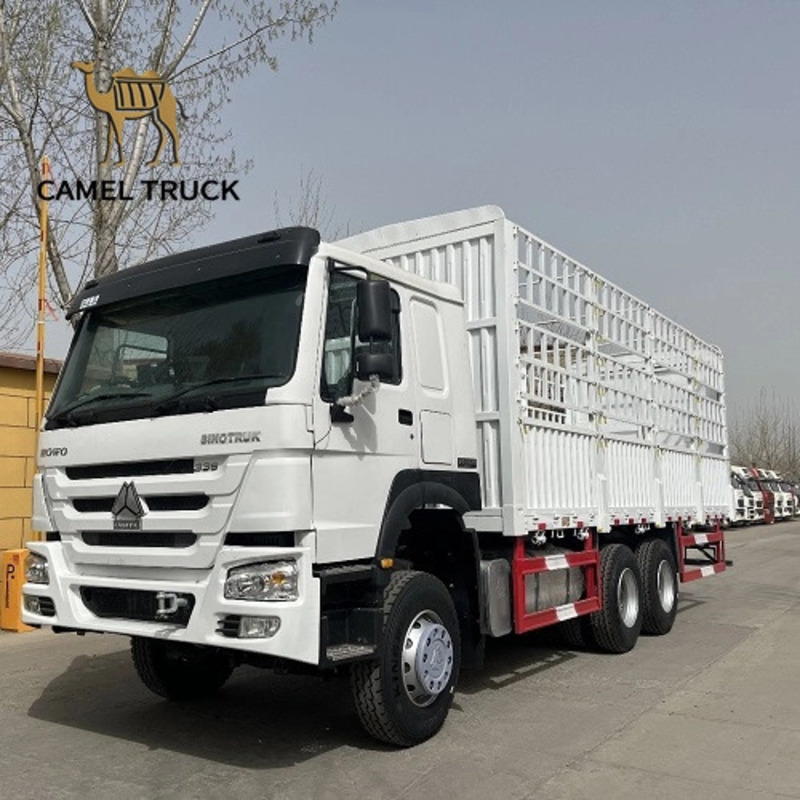 Camião de carga Howo 6×4 com chassis longo