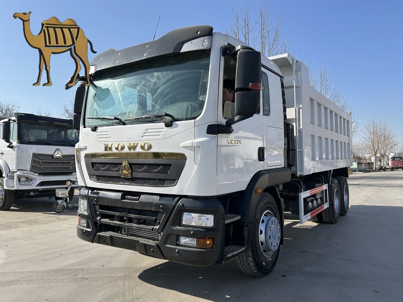 Camión volquete Howo 6×4 TX