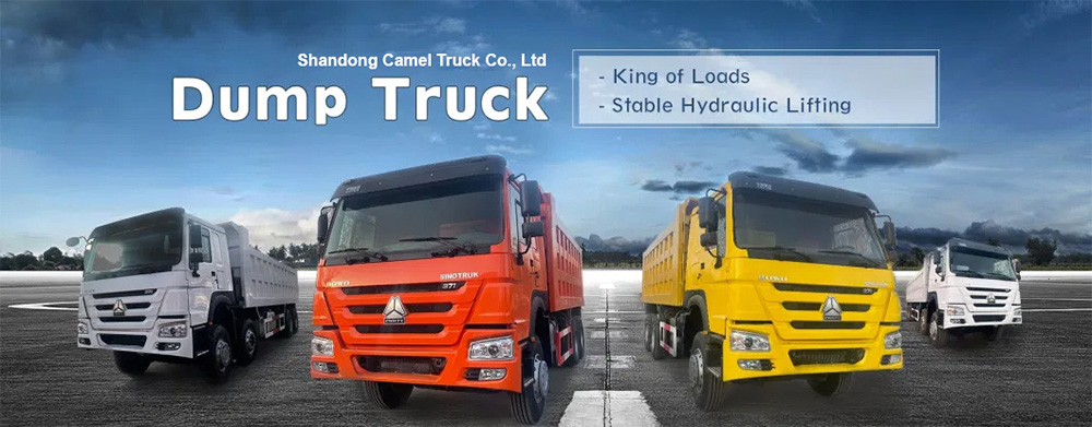 10 Wheels Howo Nx Tipper Truck.jpg