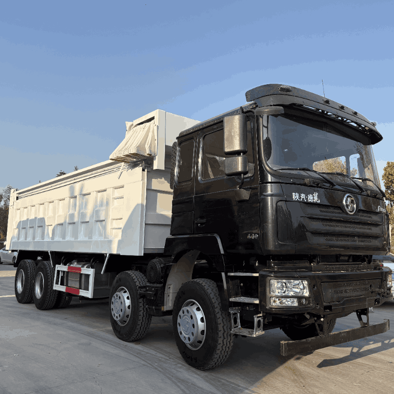 شاحنة شاكمان F3000 Dumper