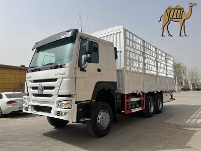 Howo 6X4 Cargo Truck