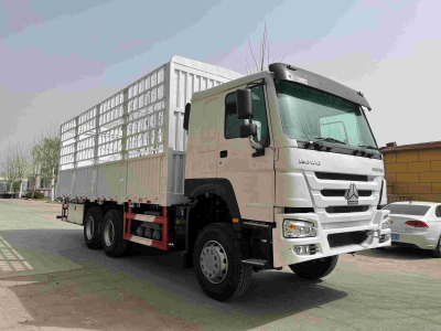 HOWO 10 Tires Cargo Truck