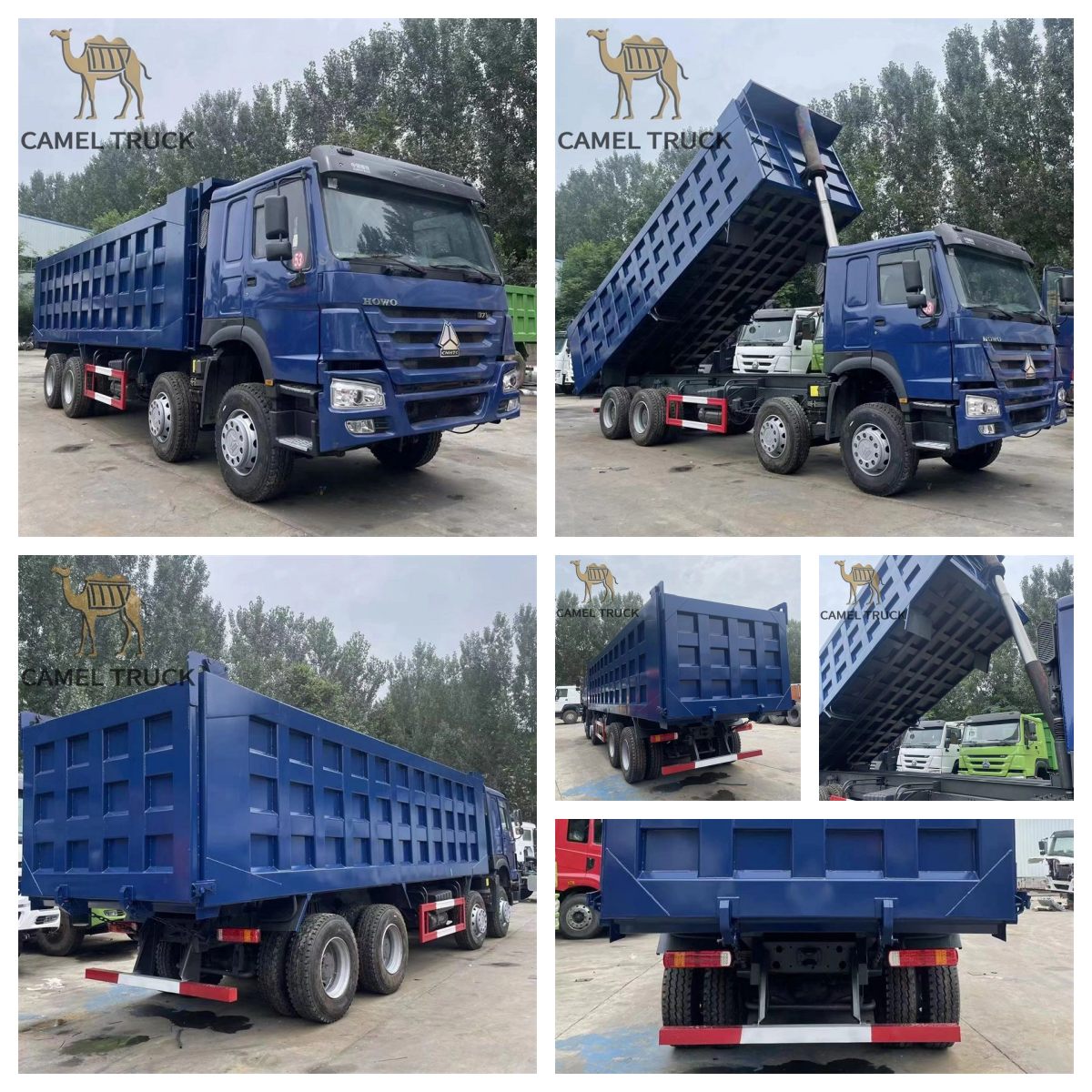 Sinotruk Howo 8x4 Dump Truck