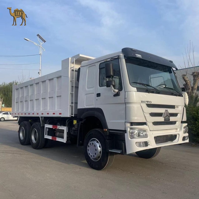 Sinotruk Howo 6x4 Dump Truck 30-40T.jpg