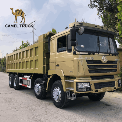 Camion-benne Shacman F3000