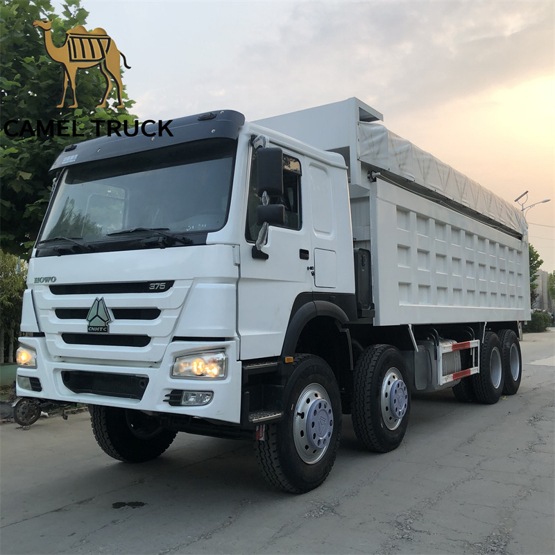 Used Howo 8x4 Dump Truck