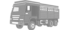 Cargo Truck