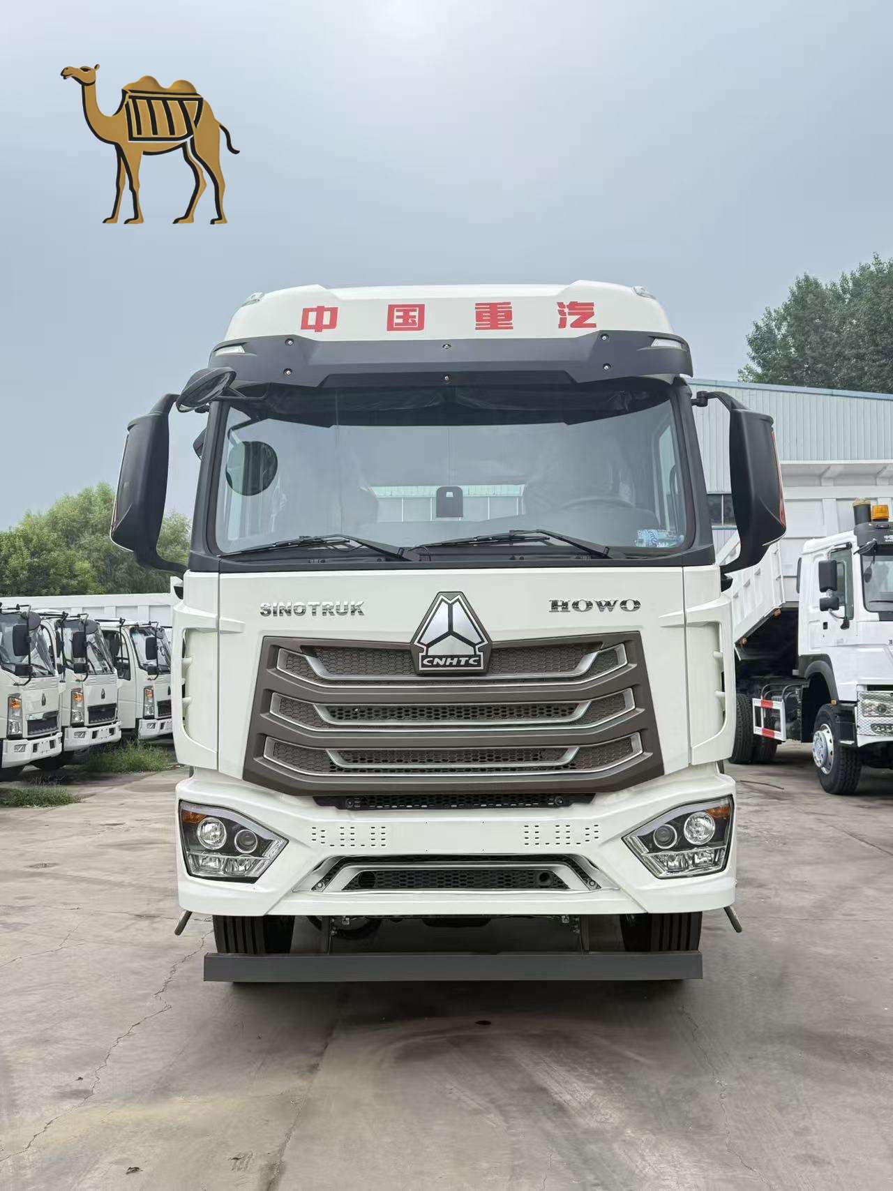 4x2 Howo NX Tractor Truck