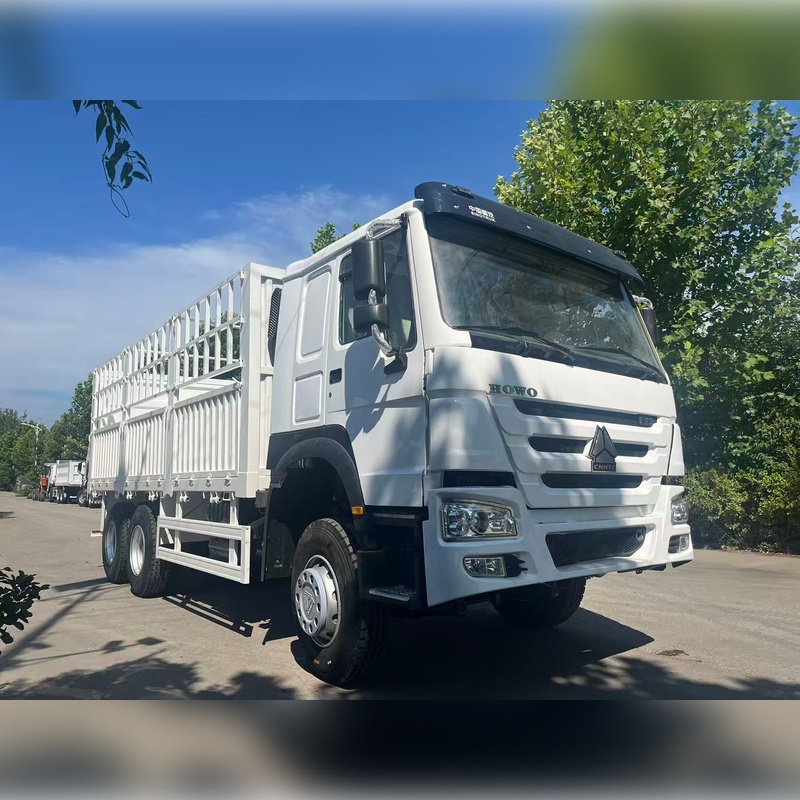 Used Sinotruk Howo 6x4 Cargo Truck