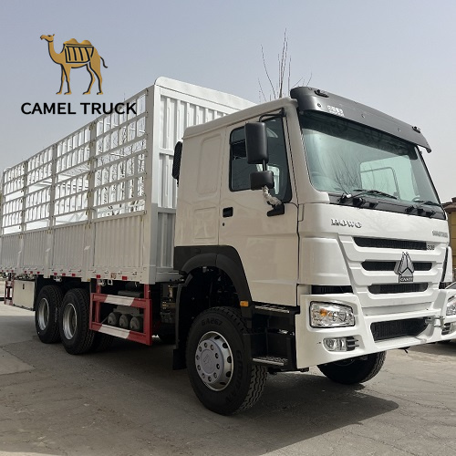 Used Howo 6x4 Cargo Truck