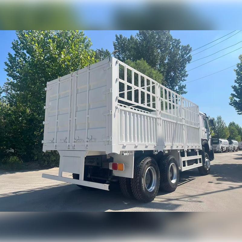 Used Sinotruk Howo 6x4 Cargo Truck